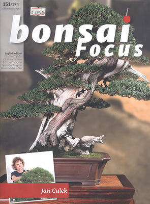 Bonsai focus č.151 - 1