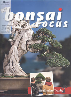 Bonsai focus č.152 - 1