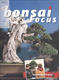 Bonsai focus č.152 - 1/4