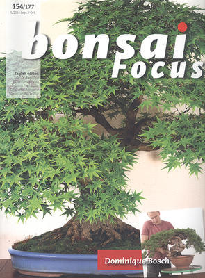Bonsai focus č.154 - 1