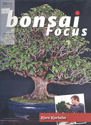 Bonsai focus č.155 - 1