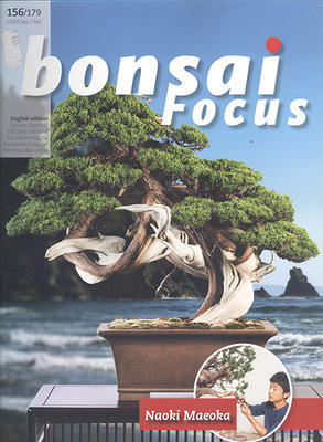 Bonsai focus č.156 - 1