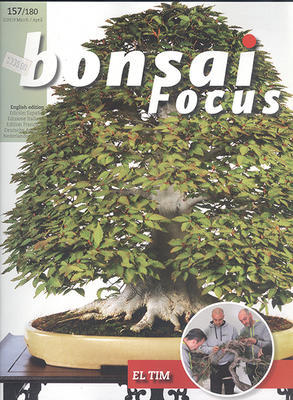 Bonsai focus č.157 - 1
