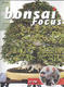 Bonsai focus č.157 - 1/4