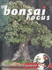 Bonsai focus č.158 - 1/4