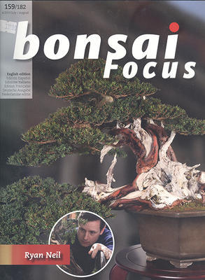 Bonsai focus č.159 - 1