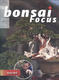 Bonsai focus č.159 - 1/4