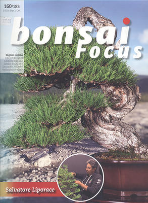 Bonsai focus č.160 - 1
