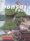 Bonsai focus č.160 - 1/4