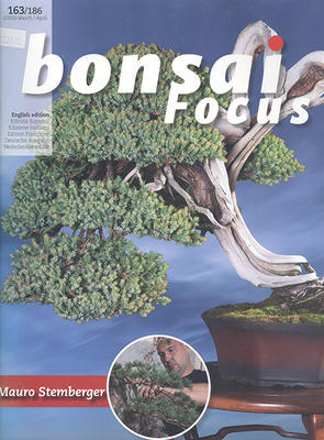 Bonsai focus č.163 - 1