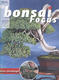 Bonsai focus č.163 - 1/4