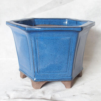 Bonsai miska 32 x 29 x 21 cm, barva modrá - 1