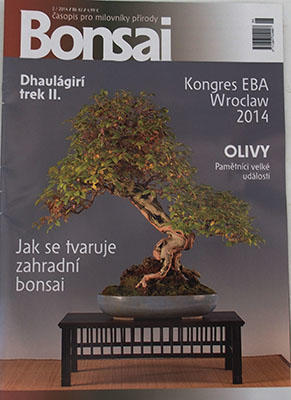 časopis bonsaj - CBA 2014-2