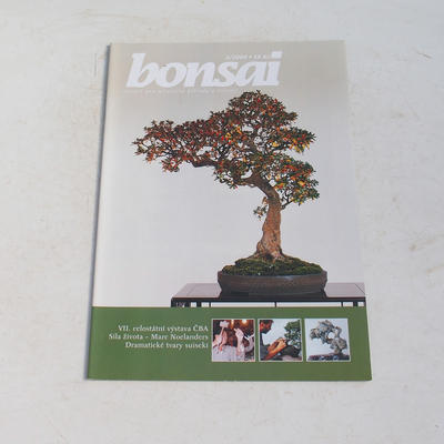 časopis bonsaj - ČBA 2004-3