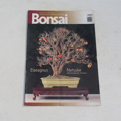 časopis bonsaj - ČBA 2009-3