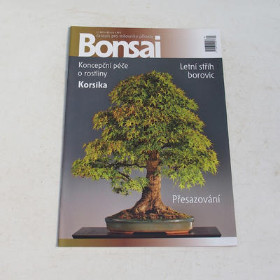 časopis bonsaj - ČBA 2013-3