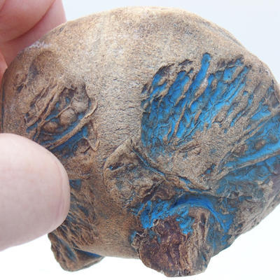 Keramická Skořápka 7 x 7 x 6 cm, barva modrá - 1