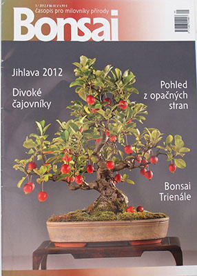časopis bonsaj - ČBA 2012-3