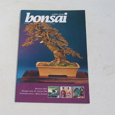 časopis bonsaj - ČBA 2006-4
