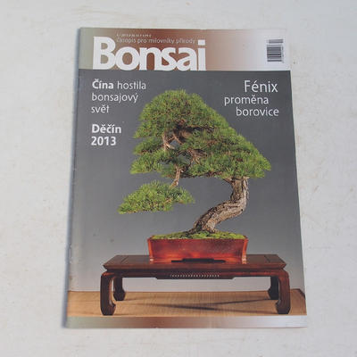 časopis bonsaj - ČBA 2013-4