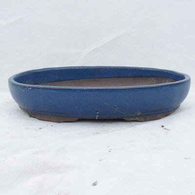 Bonsai miska 36 x 25 x 6,5 cm, barva modrá - 1