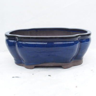 Bonsai miska 35 x 27 x 11 cm, barva modrá - 1