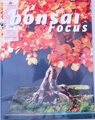 Bonsai focus - německy č.70 - 1