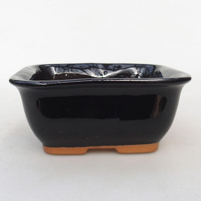 Bonsai miska H 38 - 12 x 10 x 5,5 cm, černá lesklá - 1