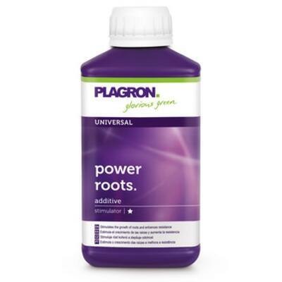 Plagron Power Roots, 250ml - 1