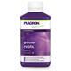 Plagron Power Roots, 250ml - 1/5