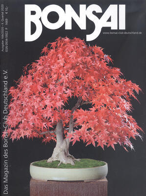 Bonsai 166 - 1