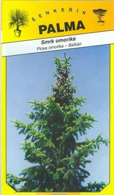 Smrk omorika - Picea omorika