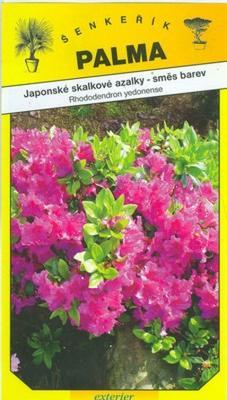 Japonské skalkové azalky - Rhododendron yedonense