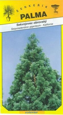 Sekvojec obrovský - Sequoiadendron giganteum