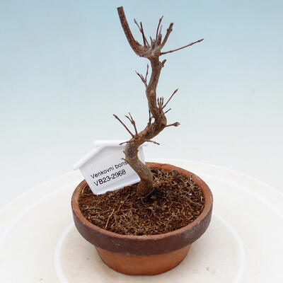 Keramická bonsai miska 15,5 x 10,5 x 3 cm, barva hnědá - 1