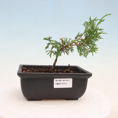 Keramická bonsai miska 15,5 x 10,5 x 3 cm, barva kraklová - 1