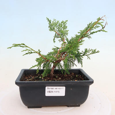 Keramická bonsai miska 16,5 x 13,5 x 3,5 cm, barva zelená - 1