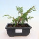 Keramická bonsai miska 16,5 x 13,5 x 3,5 cm, barva zelená - 1/3