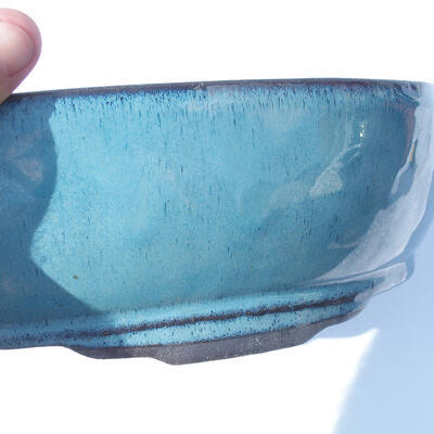Bonsai miska 41 x 29 x 10 cm barva modrá - 2