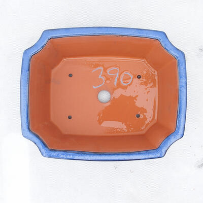 Bonsai miska 22 x 17,5 x 6 cm, barva modrá - 2