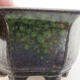 Keramická bonsai miska 10 x 9 x 5 cm, barva zelená - 2/3