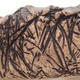 Keramická bonsai miska 16 x 16 x 3,5 cm, barva režná - 2.jakost - 2/4