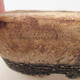 Keramická bonsai miska 15,5 x 15,5 x 5 cm, barva režná - 2.jakost - 2/3