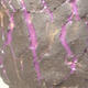 Keramická bonsai miska 15 x 15 x 11 cm, barva praskaná - 2/4