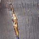 Keramická bonsai miska 13 x 13 x 12,5 cm, barva praskaná - 2/4