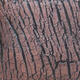 Keramická bonsai miska 13 x 13 x 8 cm, barva praskaná - 2/4