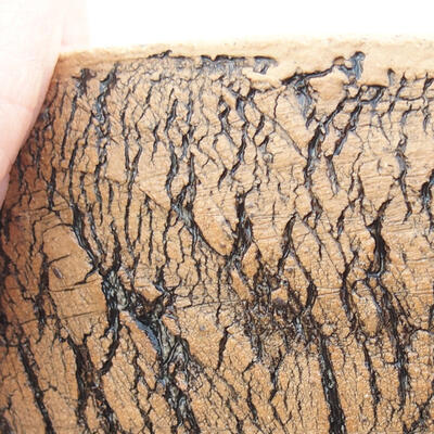Keramická bonsai miska 18 x 18 x 6,5 cm, barva černá - 2