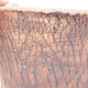 Keramická bonsai miska 13 x 13 x 14 cm, barva režná - 2/3