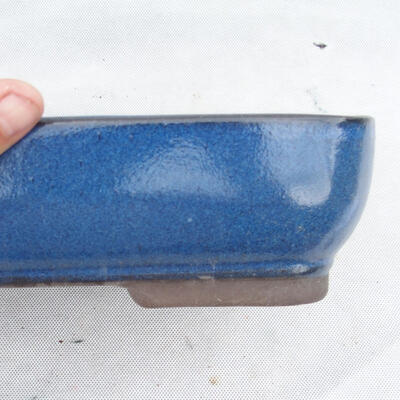 Bonsai miska 30 x 21 x 7 cm, barva modrá - 2
