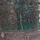 Keramická bonsai miska 9,5 x 9,5 x 9 cm, barva zelená - 2/3